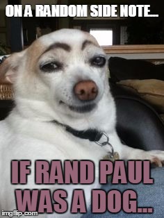ON A RANDOM SIDE NOTE... IF RAND PAUL WAS A DOG... | made w/ Imgflip meme maker