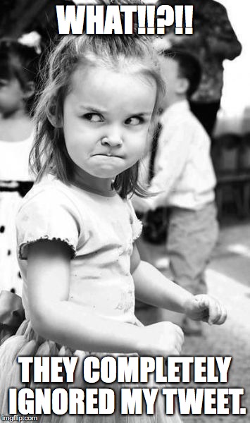 Angry Toddler Meme | WHAT!!?!! THEY COMPLETELY IGNORED MY TWEET. | image tagged in memes,angry toddler | made w/ Imgflip meme maker