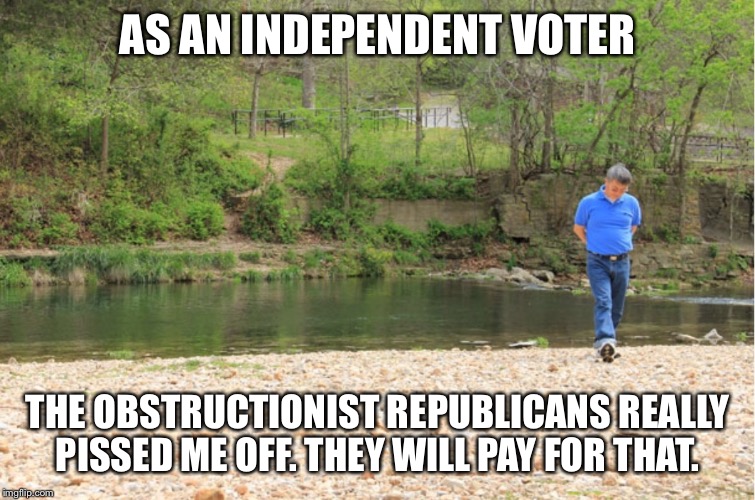 LOTS OF ROOM TO EXPOUND | AS AN INDEPENDENT VOTER THE OBSTRUCTIONIST REPUBLICANS REALLY PISSED ME OFF. THEY WILL PAY FOR THAT. | image tagged in lots of room to expound | made w/ Imgflip meme maker