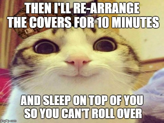 THEN I'LL RE-ARRANGE THE COVERS FOR 10 MINUTES AND SLEEP ON TOP OF YOU SO YOU CAN'T ROLL OVER | made w/ Imgflip meme maker