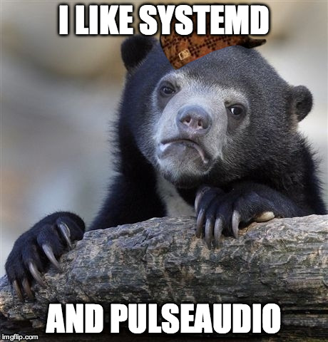 Confession Bear Meme | I LIKE SYSTEMD; AND PULSEAUDIO | image tagged in memes,confession bear,scumbag | made w/ Imgflip meme maker