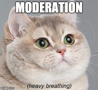 Heavy Breathing Cat Meme | MODERATION | image tagged in memes,heavy breathing cat | made w/ Imgflip meme maker
