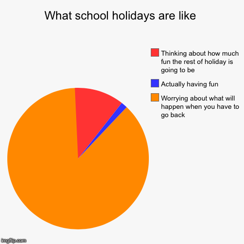 What school holidays are like | Worrying about what will happen when you have to go back, Actually having fun, Thinking about how much fun t | image tagged in funny,pie charts | made w/ Imgflip chart maker
