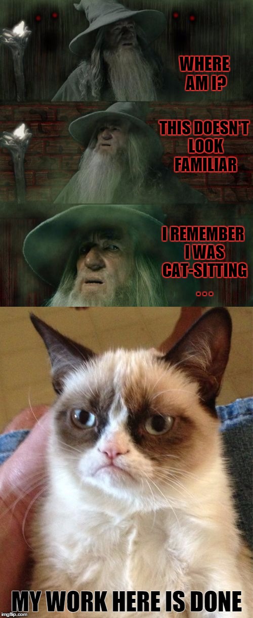 Gandalf is Lost | WHERE AM I? THIS DOESN'T LOOK FAMILIAR; I REMEMBER I WAS CAT-SITTING . . . MY WORK HERE IS DONE | image tagged in confused gandalf,gandalf lost,grumpy cat,lotr,funny cat memes,the lord of the rings | made w/ Imgflip meme maker