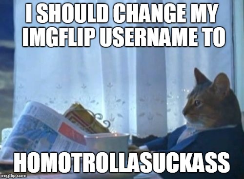 I SHOULD CHANGE MY IMGFLIP USERNAME TO HOMOTROLLASUCKASS | made w/ Imgflip meme maker