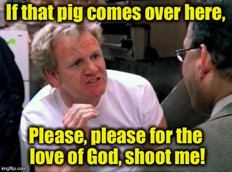 If that pig comes over here, Please, please for the love of God, shoot me! | made w/ Imgflip meme maker