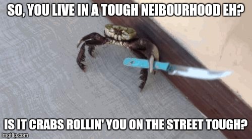 Gangsta Crab don't need no gat.  | SO, YOU LIVE IN A TOUGH NEIBOURHOOD EH? IS IT CRABS ROLLIN' YOU ON THE STREET TOUGH? | image tagged in knife wielding crab,memes,funny | made w/ Imgflip meme maker