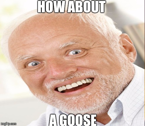 HOW ABOUT A GOOSE | made w/ Imgflip meme maker