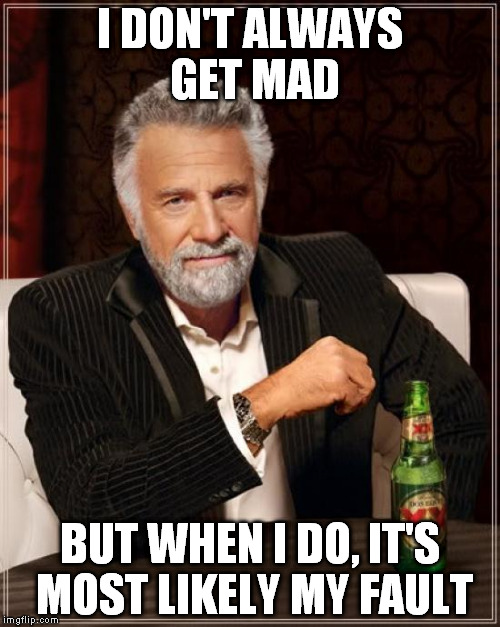 The Most Interesting Man In The World Meme | I DON'T ALWAYS GET MAD; BUT WHEN I DO, IT'S MOST LIKELY MY FAULT | image tagged in memes,the most interesting man in the world | made w/ Imgflip meme maker