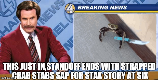 Knife wielding crab terrorizes neighbourhood. | THIS JUST IN,STANDOFF ENDS WITH STRAPPED CRAB STABS SAP FOR STAX STORY AT SIX | image tagged in ron burgundy,memes,funny,crab | made w/ Imgflip meme maker