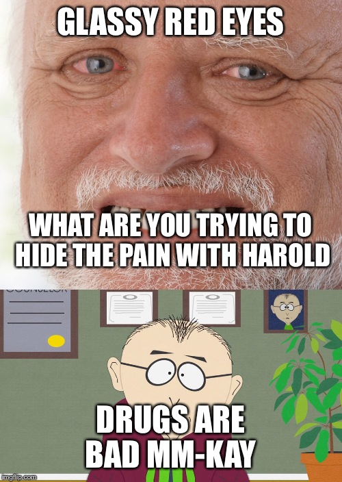 Harold could use an intervention  | GLASSY RED EYES; WHAT ARE YOU TRYING TO HIDE THE PAIN WITH HAROLD; DRUGS ARE BAD MM-KAY | image tagged in hide the pain harold,drugs are bad | made w/ Imgflip meme maker