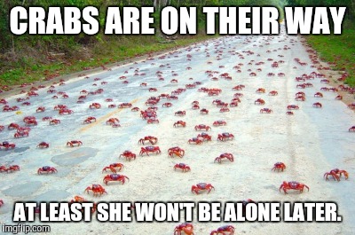 CRABS ARE ON THEIR WAY AT LEAST SHE WON'T BE ALONE LATER. | made w/ Imgflip meme maker