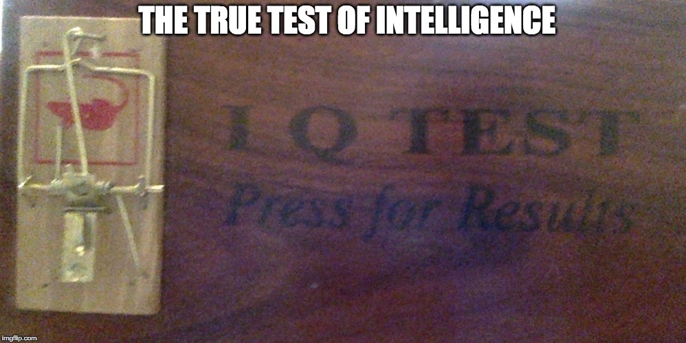 IQ TEST - Imgflip