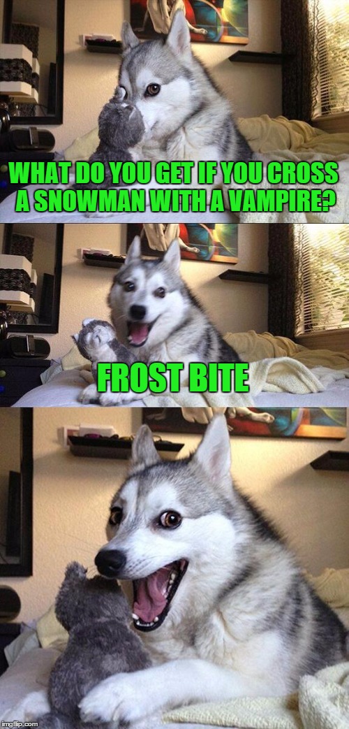 Bad Pun Dog Meme | WHAT DO YOU GET IF YOU CROSS A SNOWMAN WITH A VAMPIRE? FROST BITE | image tagged in memes,bad pun dog | made w/ Imgflip meme maker