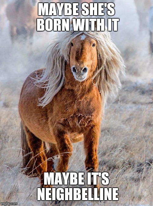 MAYBE SHE'S BORN WITH IT; MAYBE IT'S NEIGHBELLINE | image tagged in funny memes,memes | made w/ Imgflip meme maker