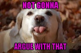 NOT GONNA ARGUE WITH THAT | made w/ Imgflip meme maker