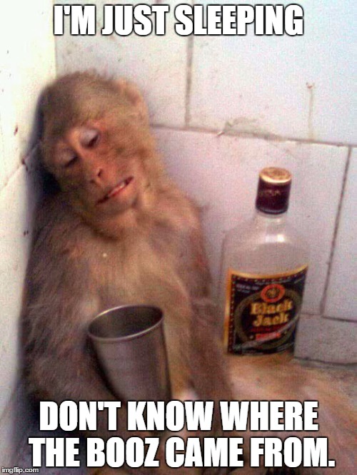 drunk monkey | I'M JUST SLEEPING; DON'T KNOW WHERE THE BOOZ CAME FROM. | image tagged in drunk monkey | made w/ Imgflip meme maker