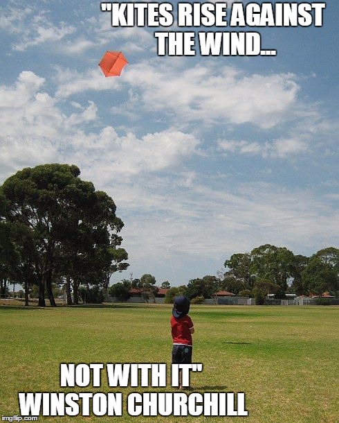 kite | "KITES RISE AGAINST THE WIND... NOT WITH IT" WINSTON CHURCHILL | image tagged in kite | made w/ Imgflip meme maker