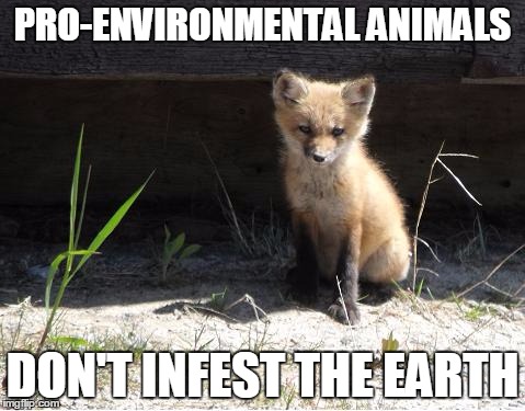 camping | PRO-ENVIRONMENTAL ANIMALS; DON'T INFEST THE EARTH | image tagged in camping | made w/ Imgflip meme maker