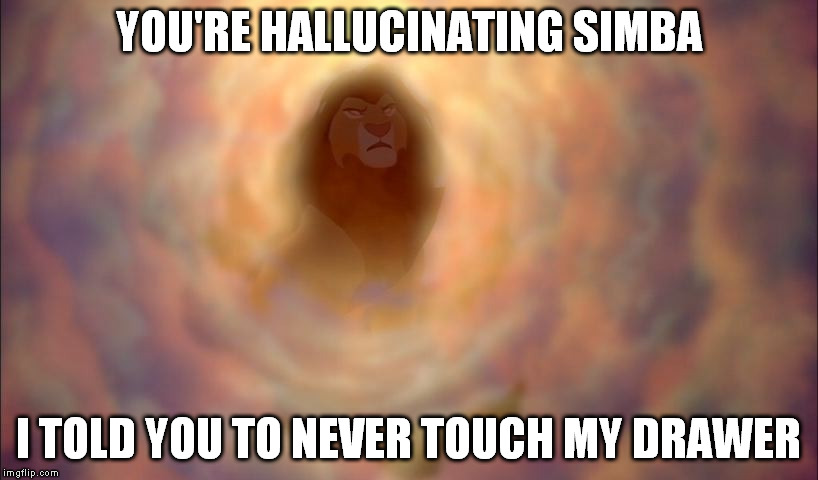 Your highness is real. | YOU'RE HALLUCINATING SIMBA; I TOLD YOU TO NEVER TOUCH MY DRAWER | image tagged in mufasa,memes | made w/ Imgflip meme maker