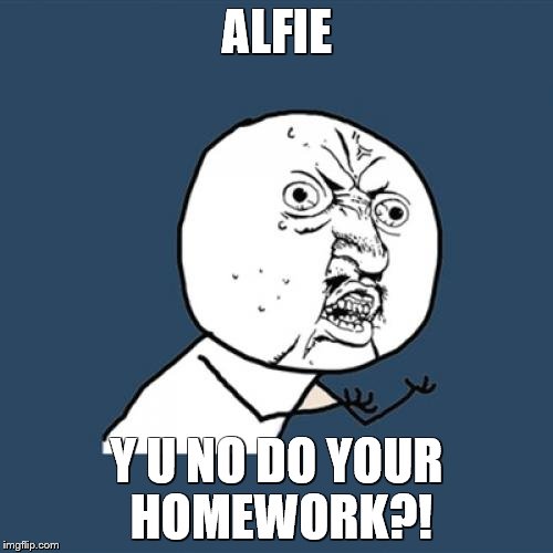 Y U No | ALFIE; Y U NO DO YOUR HOMEWORK?! | image tagged in memes,y u no | made w/ Imgflip meme maker
