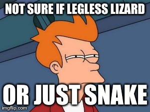 Futurama Fry | image tagged in memes,futurama fry | made w/ Imgflip meme maker