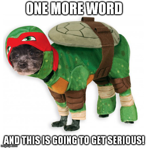 ONE MORE WORD; AND THIS IS GOING TO GET SERIOUS! | image tagged in tmnt doggie | made w/ Imgflip meme maker
