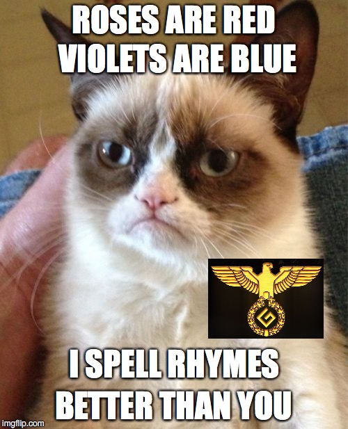 Grumpy Cat Meme | ROSES ARE RED BETTER THAN YOU VIOLETS ARE BLUE I SPELL RHYMES | image tagged in memes,grumpy cat | made w/ Imgflip meme maker