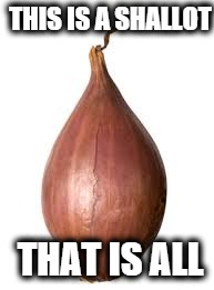 that's your lot | THIS IS A SHALLOT; THAT IS ALL | image tagged in vegetables,funny memes,hilarious,and that's all i have to say about that | made w/ Imgflip meme maker