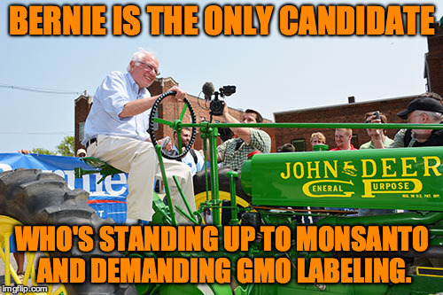 Bernie Will Label GMOs | BERNIE IS THE ONLY CANDIDATE; WHO'S STANDING UP TO MONSANTO AND DEMANDING GMO LABELING. | image tagged in bernie sanders,gmo,monsanto,gmo labeling | made w/ Imgflip meme maker