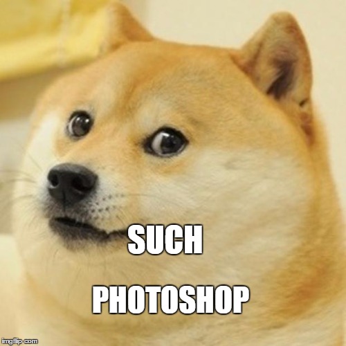 Doge Meme | SUCH; PHOTOSHOP | image tagged in memes,doge | made w/ Imgflip meme maker