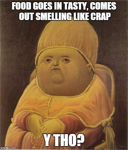 Y Tho | FOOD GOES IN TASTY, COMES OUT SMELLING LIKE CRAP; Y THO? | image tagged in y tho | made w/ Imgflip meme maker