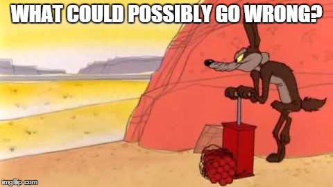 Wile e coyote dynamite | WHAT COULD POSSIBLY GO WRONG? | image tagged in wile e coyote dynamite | made w/ Imgflip meme maker