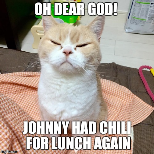Oh no! | OH DEAR GOD! JOHNNY HAD CHILI FOR LUNCH AGAIN | image tagged in cats | made w/ Imgflip meme maker