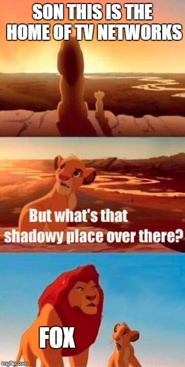 Simba Shadowy Place | SON THIS IS THE HOME OF TV NETWORKS; FOX | image tagged in memes,simba shadowy place | made w/ Imgflip meme maker