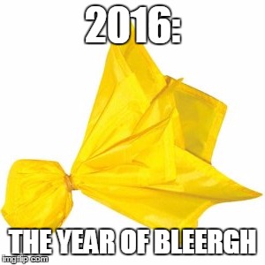 BLEERGH 2016 | 2016:; THE YEAR OF BLEERGH | image tagged in nfl,flag | made w/ Imgflip meme maker