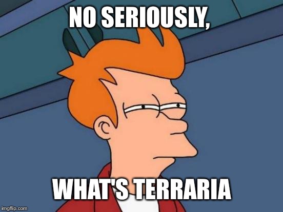 Futurama Fry Meme | NO SERIOUSLY, WHAT'S TERRARIA | image tagged in memes,futurama fry | made w/ Imgflip meme maker