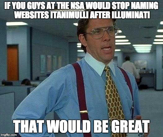 That Would Be Great Meme | IF YOU GUYS AT THE NSA WOULD STOP NAMING WEBSITES ITANIMULLI AFTER ILLUMINATI; THAT WOULD BE GREAT | image tagged in memes,that would be great | made w/ Imgflip meme maker