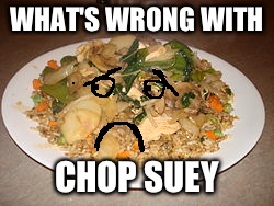 WHAT'S WRONG WITH CHOP SUEY | image tagged in chop suey | made w/ Imgflip meme maker