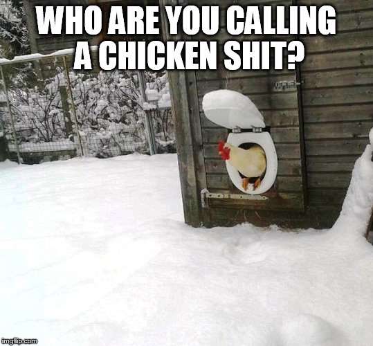 Chicken Shit | WHO ARE YOU CALLING A CHICKEN SHIT? | image tagged in chicken shit | made w/ Imgflip meme maker