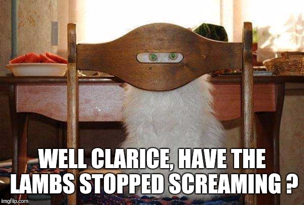 Hannibal's cat | WELL CLARICE, HAVE THE LAMBS STOPPED SCREAMING ? | image tagged in hannibal's cat,cat,funny cats,hannibal lecter silence of the lambs,hannibal lecter,silence of the lambs | made w/ Imgflip meme maker