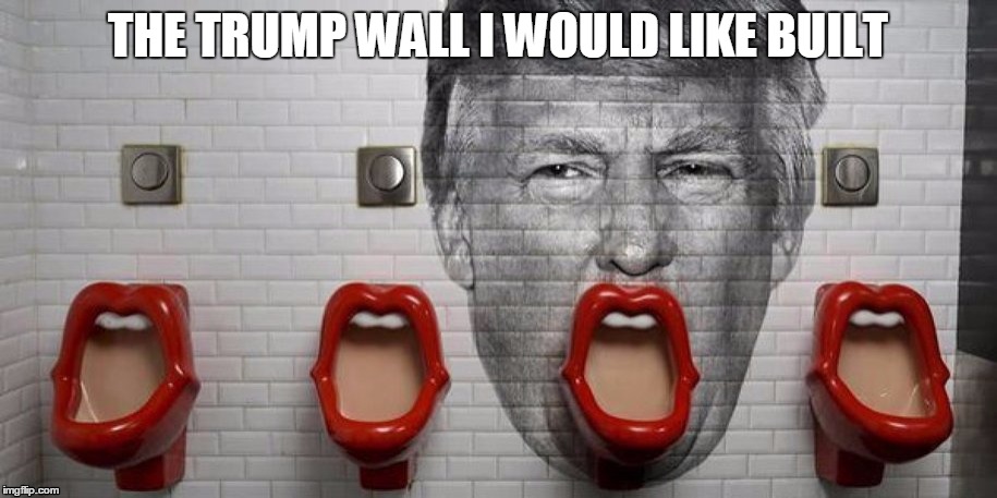 Trump Wall |  THE TRUMP WALL I WOULD LIKE BUILT | image tagged in donald trump,wall,funny,memes,funny memes,trump for president | made w/ Imgflip meme maker