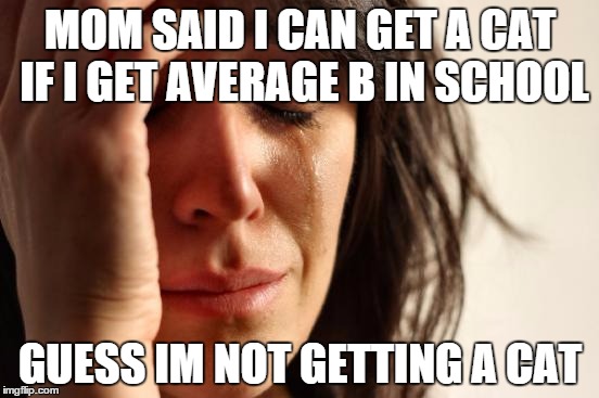 First World Problems Meme | MOM SAID I CAN GET A CAT IF I GET AVERAGE B IN SCHOOL; GUESS IM NOT GETTING A CAT | image tagged in memes,first world problems | made w/ Imgflip meme maker