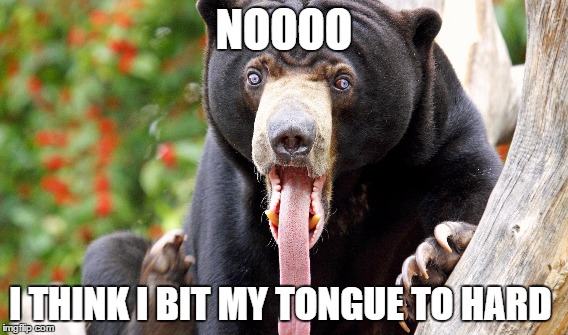 bitey tounge | NOOOO; I THINK I BIT MY TONGUE TO HARD | image tagged in sun,bear | made w/ Imgflip meme maker