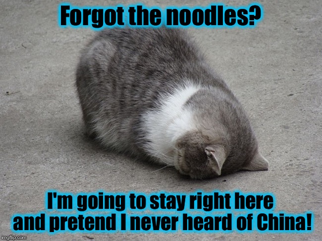 Face plant cat | Forgot the noodles? I'm going to stay right here and pretend I never heard of China! | image tagged in face plant cat | made w/ Imgflip meme maker