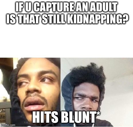 hits blunt  | IF U CAPTURE AN ADULT IS THAT STILL KIDNAPPING? HITS BLUNT* | image tagged in hits blunt | made w/ Imgflip meme maker