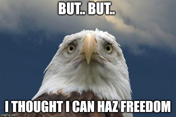 BUT.. BUT.. I THOUGHT I CAN HAZ FREEDOM | made w/ Imgflip meme maker