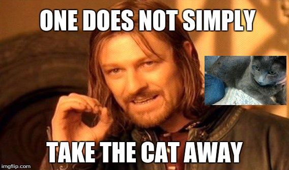 One Does Not Simply | ONE DOES NOT SIMPLY; TAKE THE CAT AWAY | image tagged in memes,one does not simply | made w/ Imgflip meme maker