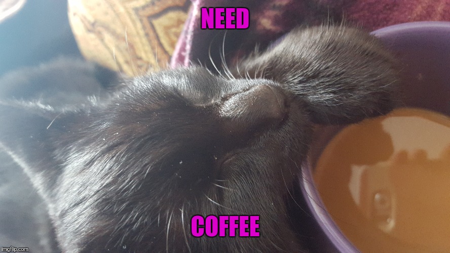 Morning | NEED; COFFEE | image tagged in good morning,monday mornings | made w/ Imgflip meme maker