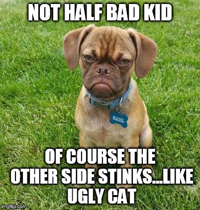 NOT HALF BAD KID OF COURSE THE OTHER SIDE STINKS...LIKE UGLY CAT | made w/ Imgflip meme maker